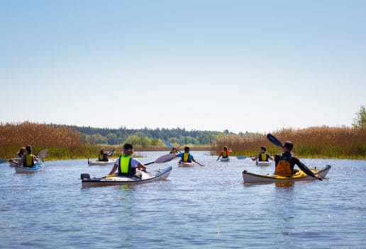 kajakpaddling på mälaren