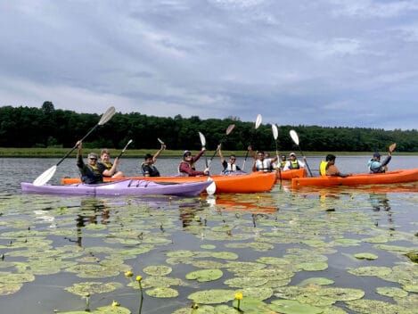 kayaking tour mälaren