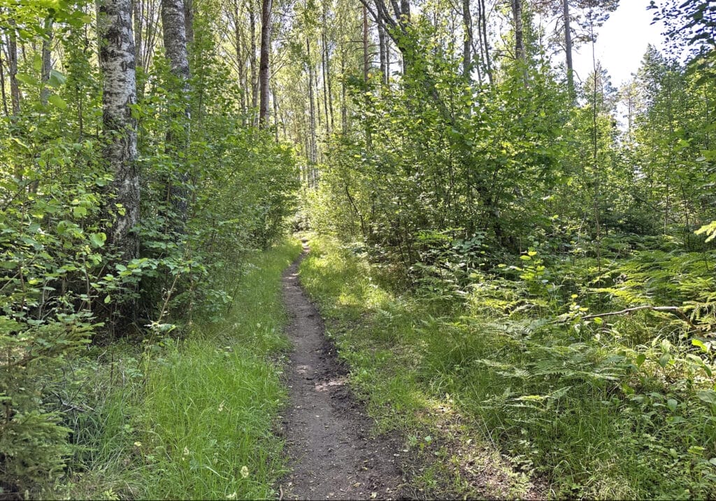 Hamreskogen